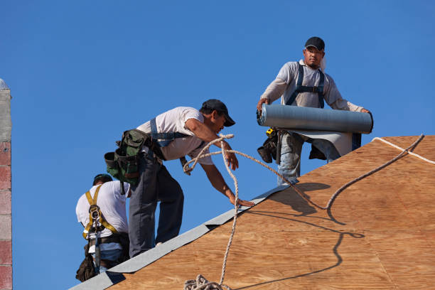 Best Metal Roofing Contractor  in Altavista, VA