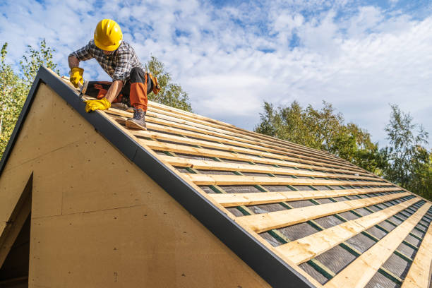 Best Storm Damage Roof Repair  in Altavista, VA