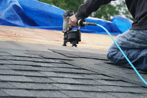 Best Roof Gutter Cleaning  in Altavista, VA