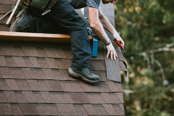 Best Roof Restoration Services  in Altavista, VA